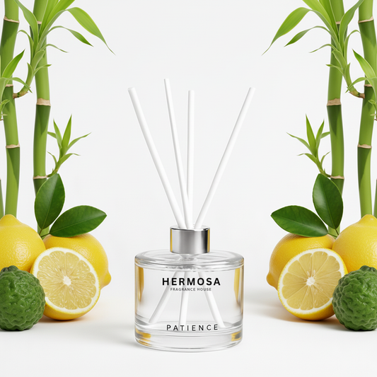 HERMOSA PATIENCE Fragrance Diffuser Centered with Citrus and Bamboo
